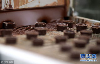走进德国巧克力工厂 生产过程让人垂涎